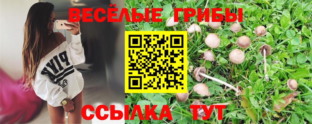 Можайск  Галлюциногенные грибы GOLDEN TEACHER  купить наркоту  Вход с VPN 