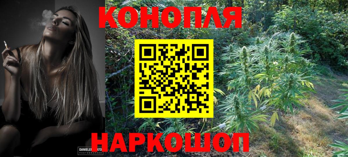Канабис семена Можайск